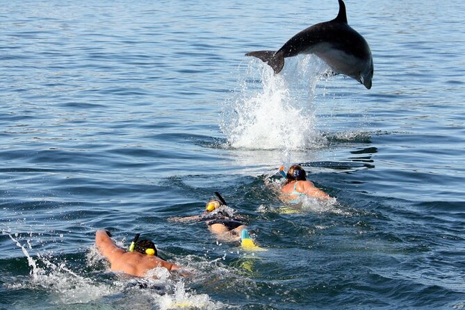 Side Dolphin Island Boat Trip With Lunch And Soft Drinks - From Side hotels to Kumköy pier: the morning start