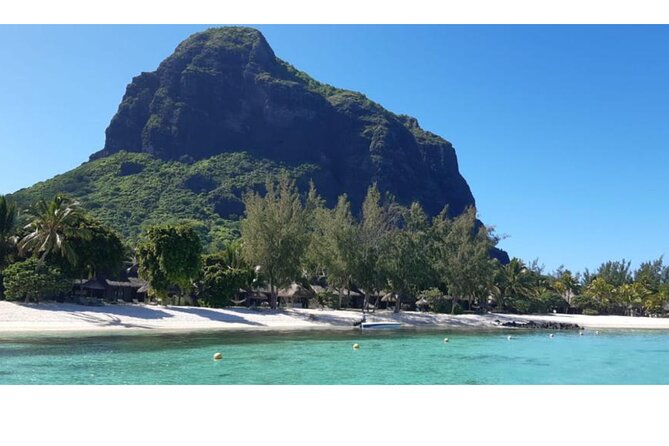 Signature Experience: Dolphins and Flavors of the Sea - Stop 1 on Le Morne: snorkeling with turtles and dolphins