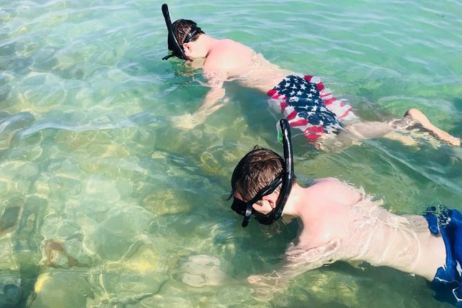 Small Group 2 Hour Dolphin Cruise with Snorkeling to Shell Key - Boat Comfort: Stable Pontoon, Small Group Energy