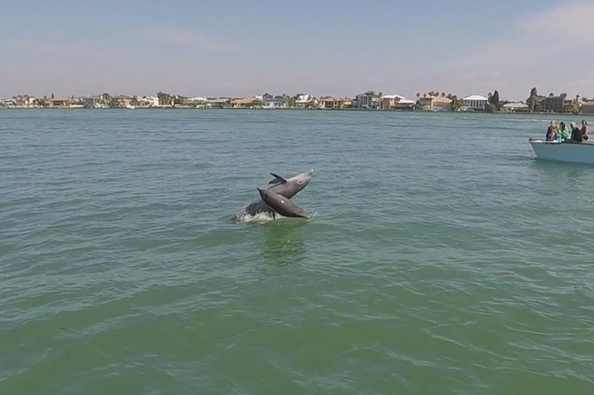 Small Group 2 Hour Dolphin Cruise with Snorkeling to Shell Key - Snorkeling Reality Check: Shore Entry, Shallow Water, and How to Prepare