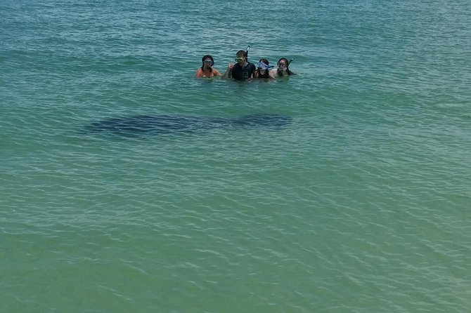 Small Group 2 Hour Dolphin Cruise with Snorkeling to Shell Key - Practical Logistics: Where to Meet, What Timing Means