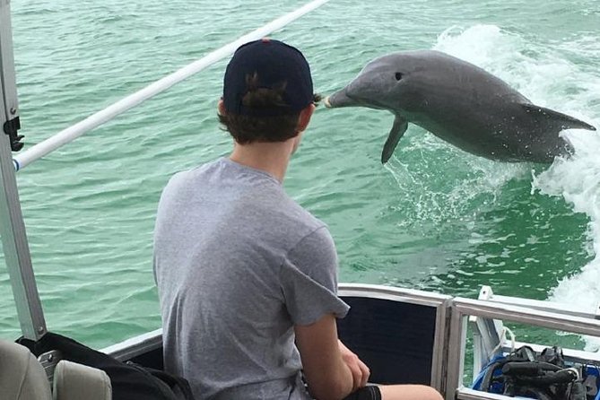 Small Group 2 Hour Dolphin Cruise with Snorkeling to Shell Key - Boca Ciega Bay Wildlife: Dolphins, Manatees, and the Hunt