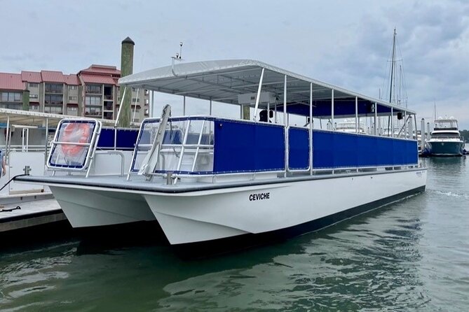 Small Group - 6 Passengers - Morning Dolphin and Donut Cruise - What it feels like on board: guided, friendly, and organized