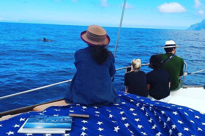 Small Group Boat Whale and Dolphin Watching Tour - The onboard picnic: a calm break after wildlife time