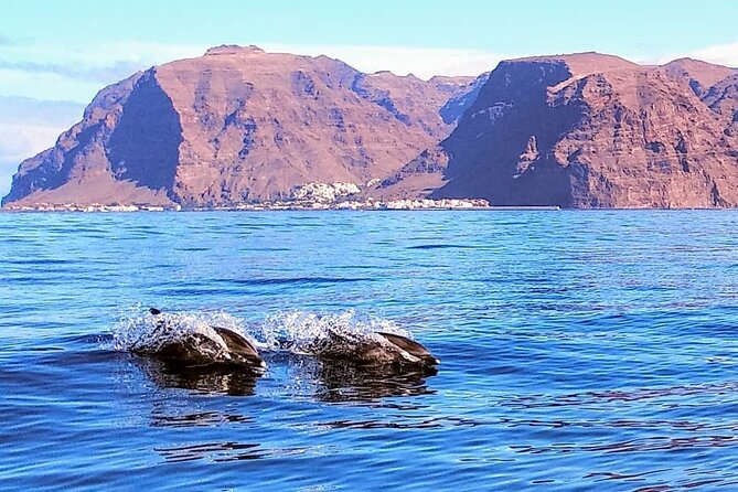 Small Group Boat Whale and Dolphin Watching Tour - Who should book this whale and dolphin tour