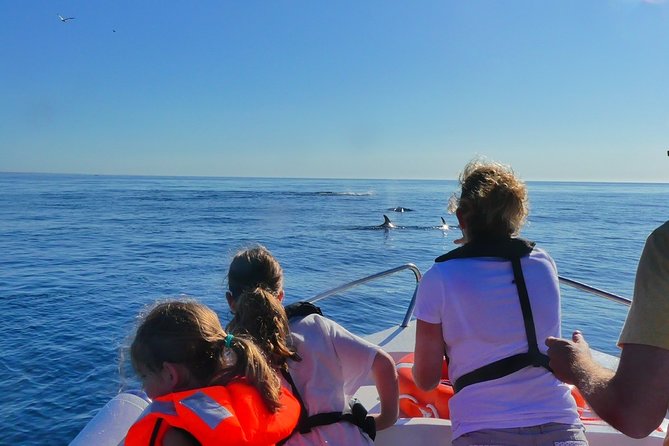 Small Group Dolphin and Wildlife Watching Tour in Faro - From Ginásio Clube Naval to the Atlantic: How the trip starts