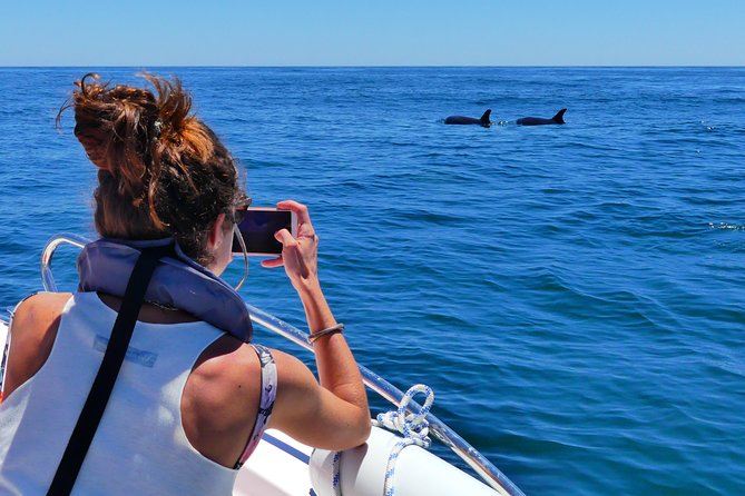 Small Group Dolphin and Wildlife Watching Tour in Faro - The boat ride: RIB speed, comfort, and real weather risk