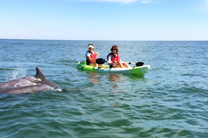 Small Group Dolphin Kayak Eco-Tour - Quick Key Points Before You Go