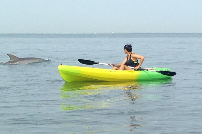 Small Group Dolphin Kayak Eco-Tour - North End Beach to Cape Henry: the dolphin route that drives the whole tour