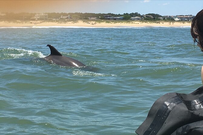 Small Group Dolphin Kayak Eco-Tour - Launch, safety, and how the guides help without taking over
