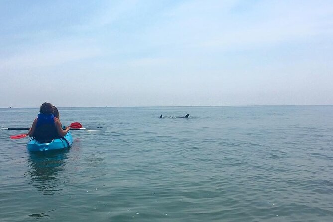 Small Group Dolphin Kayak Eco-Tour - Timing, season, and the real-world issue: ocean conditions