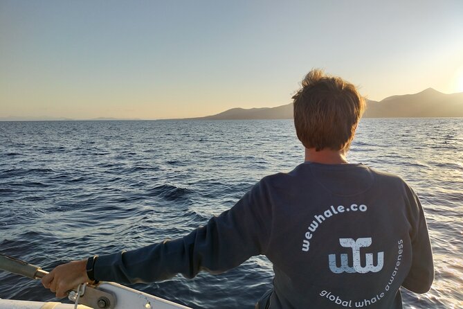 Small Group Dolphin Sunset Tour on Electric Catamaran Lanzarote - Sunset on the Electric Catamaran from Puerto Calero