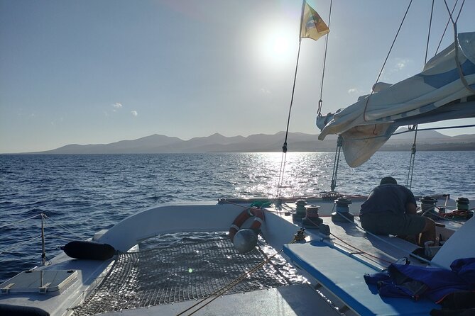 Small Group Dolphin Sunset Tour on Electric Catamaran Lanzarote - Getting Oriented: Meeting Point and Getting Away on Time