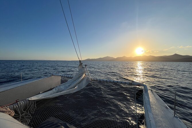 Small Group Dolphin Sunset Tour on Electric Catamaran Lanzarote - How the Dolphin Search Works (and Why No One Can Control It)