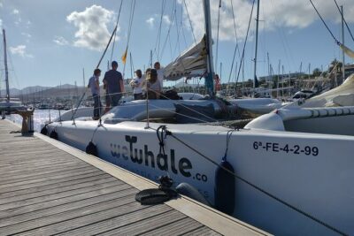 Small Group Dolphin Sunset Tour on Electric Catamaran Lanzarote - Stop 1: The Puerto Calero Coast Cruise and the Sunset Hunt