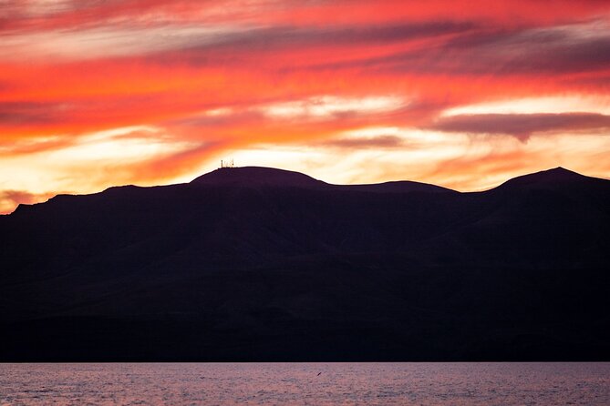 Small Group Dolphin Sunset Tour on Electric Catamaran Lanzarote - Drinks, Photos, and Little Comfort Touches