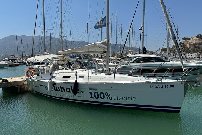 Small Group Dolphin Sunset Tour on Electric Sailing Boat Denia - Key things to know before you go
