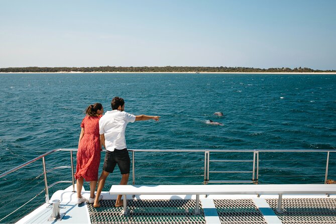 Small Group Port Stephens + Dolphins + 4WD/sandboarding ex Sydney - The Big Picture: how this 11-hour day flows
