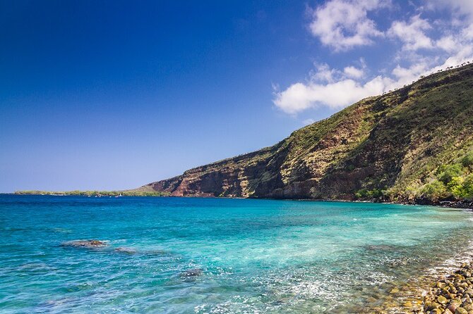 Small-Group Snorkel at Kealakekua Bay in Captain Cook, Big Island - Meeting point and the easiest way to not stress