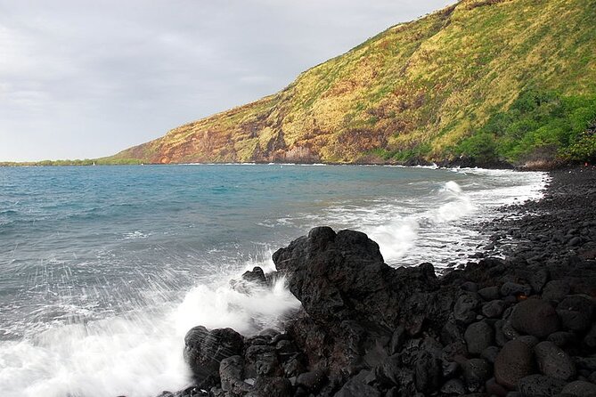 Small-Group Snorkel at Kealakekua Bay in Captain Cook, Big Island - What you might see: dolphins, whales, manta rays, and reef life