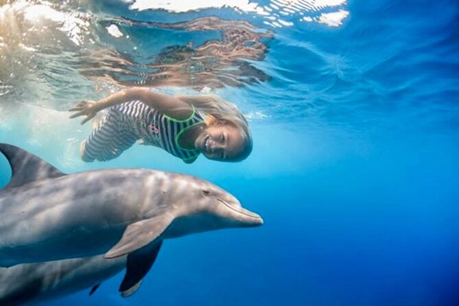 Snorkel at The Dolphin House Adventure In Hurghada - Price and the real value: $12.50 plus the extras you should budget