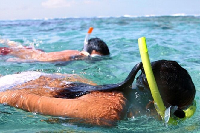 Snorkel & Dolphin Sightseeing Tour Aboard the Footloose - Shell Island stop: snorkeling, shells, and beach time