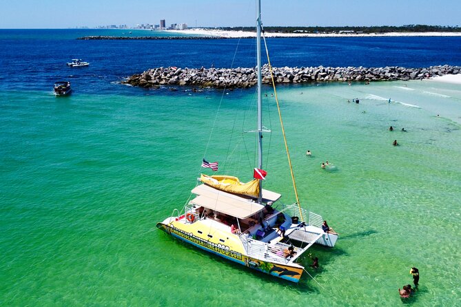 Snorkel & Dolphin Sightseeing Tour Aboard the Footloose - Price and value: why $50 can work (if you manage expectations)