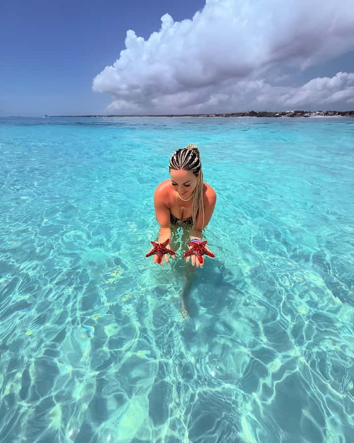 Snorkel Mnemba’s Reefs & Swim with Dolphins Adventure - Getting to the reef: van + speedboat, and how to plan your time