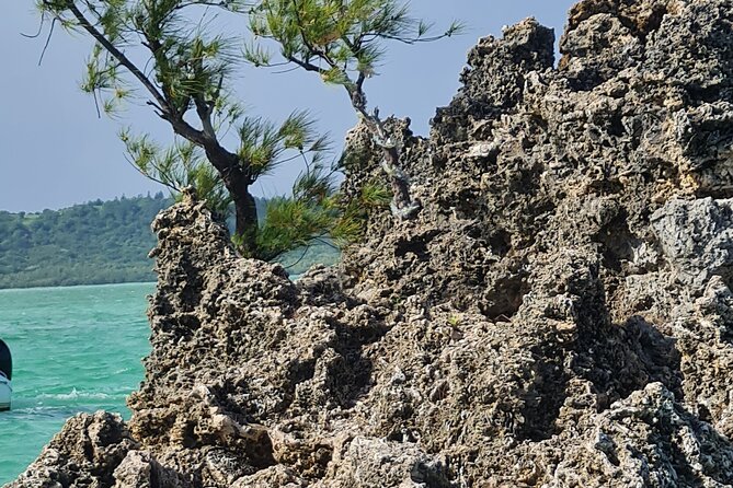 Snorkel with Dolphins, Lunch on Benitiers island, Speedboat - Île aux Bénitiers: lunch, white sand, and lagoon time