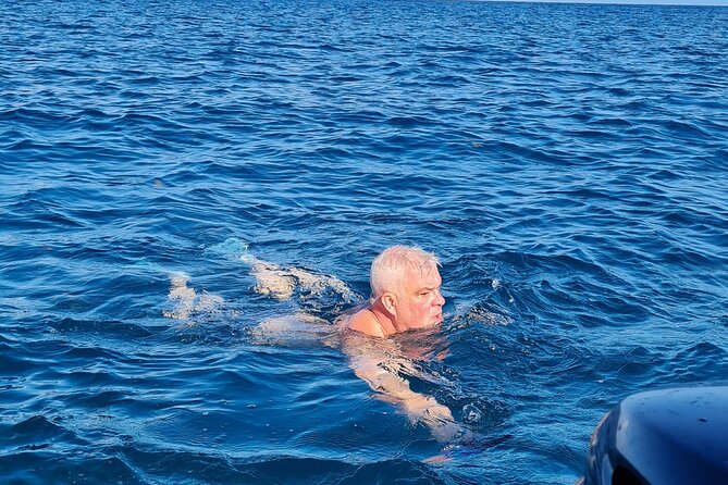 Snorkel with Dolphins, Lunch on Benitiers island, Speedboat - The short return stop in Tamarin and ending with a sea walk