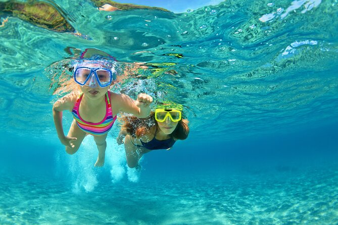 Snorkeling and Dolphin Watching Experience in Destin - A 2023 catamaran built for easy fun in Destin