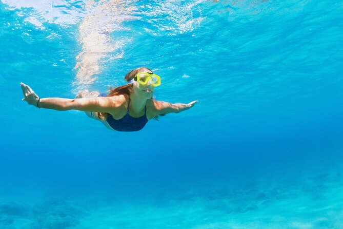 Snorkeling and Dolphin Watching Experience in Destin - Price and value: is $44 worth it?