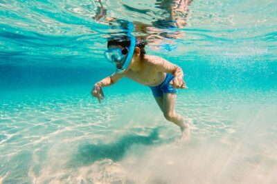 Snorkeling and Dolphin Watching Experience in Destin - Dolphin watching: the crew actively hunts for that close-up moment