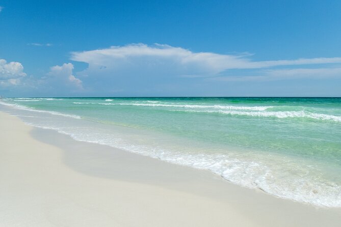 Snorkeling and Dolphin Watching Experience in Destin - Who this tour is best for (and who should adjust expectations)