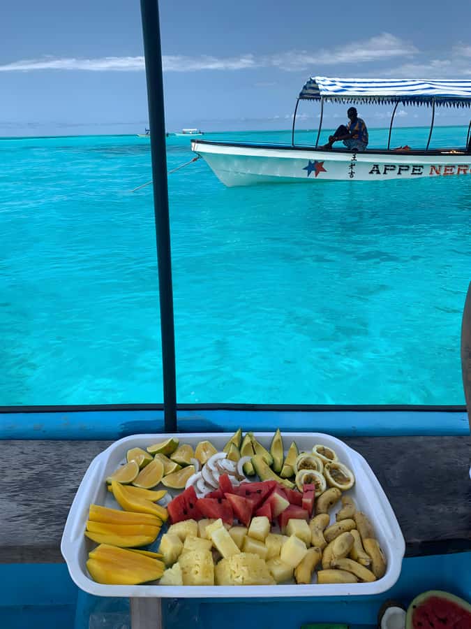 Snorkeling and swimming with dolphins in mnemba island - What’s included, what’s not, and what to bring