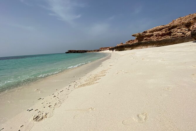 Snorkeling at Dimaniyat Islands and Dolphin Watching - Dimaniyat Islands: reef time where Oman’s marine life shows up