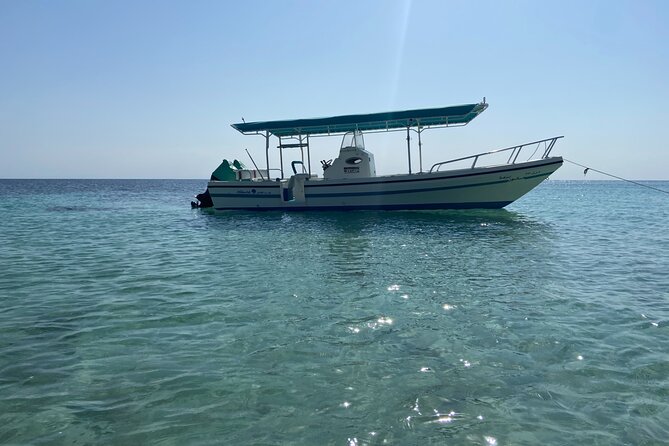 Snorkeling at Dimaniyat Islands and Dolphin Watching - Al Alam Palace sail-by: photos without the crowd grind