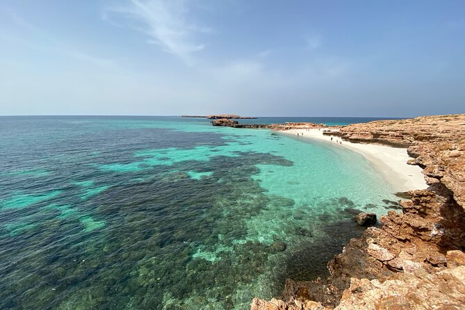 Snorkeling at Dimaniyat Islands and Dolphin Watching - Snacks, small-group energy, and value at $87