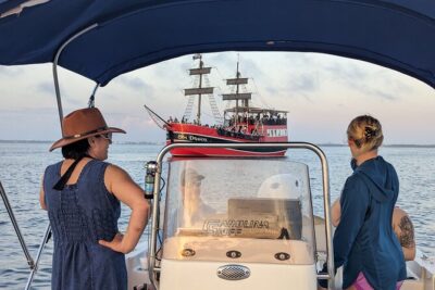 Snorkeling, Dolphin and Wildlife Sightings at St. Andrews Bay - Dolphin sightings: how you improve your odds without stressing
