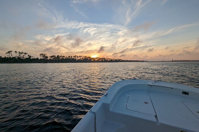 Snorkeling, Dolphin and Wildlife Sightings at St. Andrews Bay - What’s provided, what you should bring, and how to plan a smooth ride