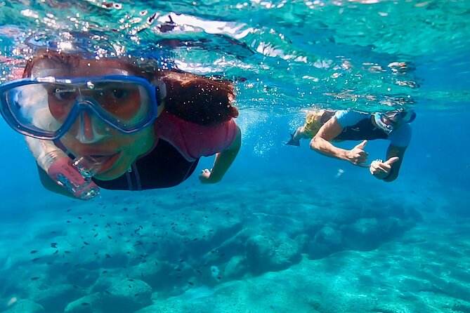 Snorkeling Experience to discover the dolphin inside you! - Key highlights at a glance
