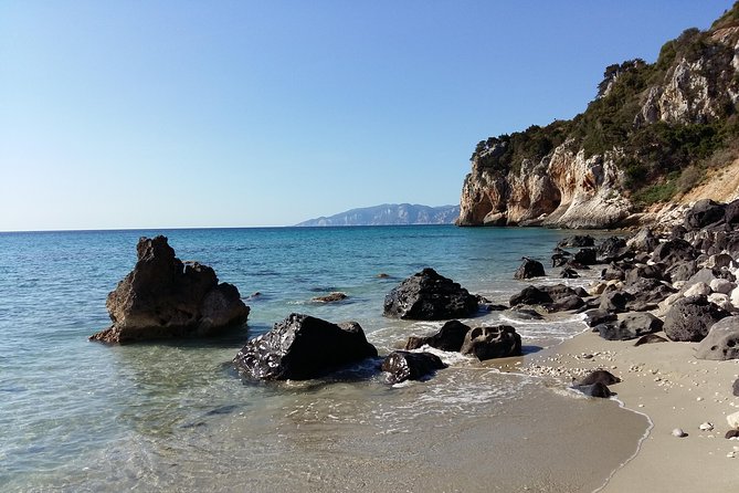 Snorkeling Experience to discover the dolphin inside you! - Where you start: La Casa dei Pini (and why that matters)
