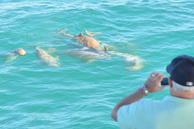 Snubfin Dolphin Eco Cruise from Broome - Price and value: is $110.24 per person a fair deal?