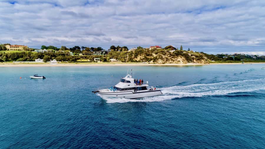 Sorrento: Dolphins & Seals Snorkeling Cruise w/ Lunch - What’s included in the $148 price, and what you must bring
