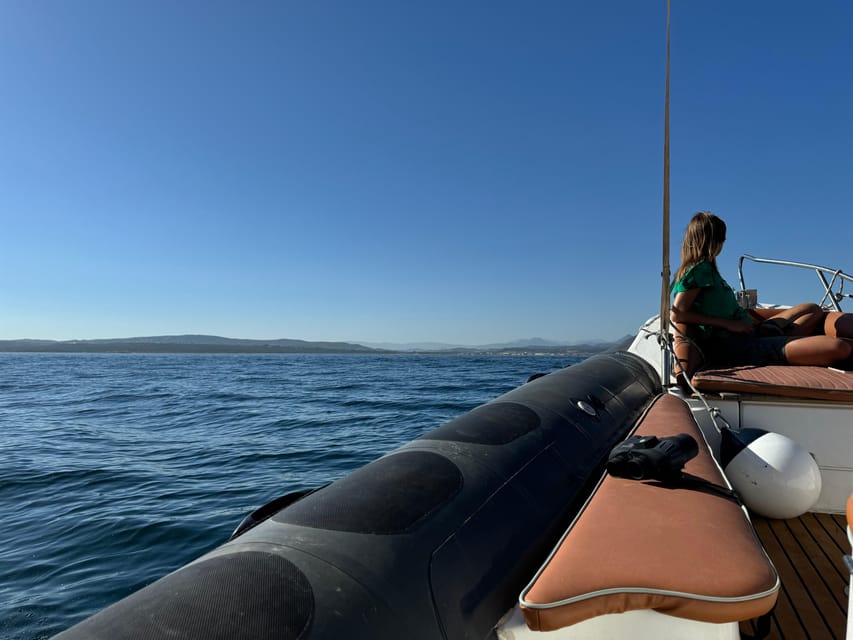 Sotogrande: Dolphin watching experience with expert crew - Key highlights you should know