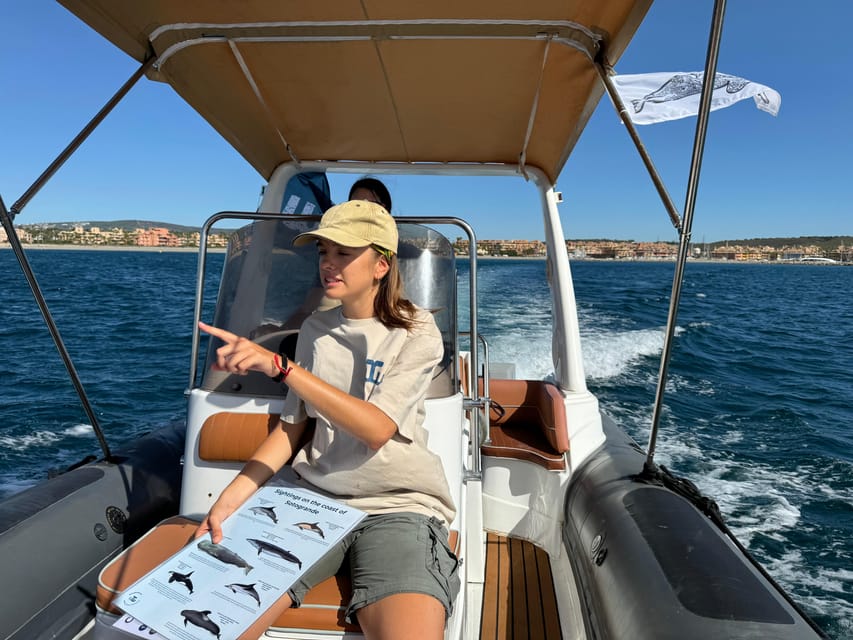 Sotogrande: Dolphin watching experience with expert crew - What you can realistically spot off Sotogrande (and how whale chances work)