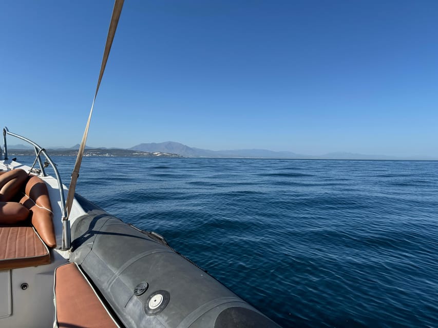 Sotogrande: Dolphin watching experience with expert crew - The crew and the marine-wildlife masterclass: what you learn that changes your spotting