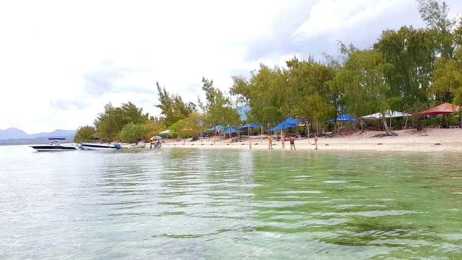 Speedboat to Ile aux Benitier: Dolphin Encounter & Lunch - Key points worth knowing before you go