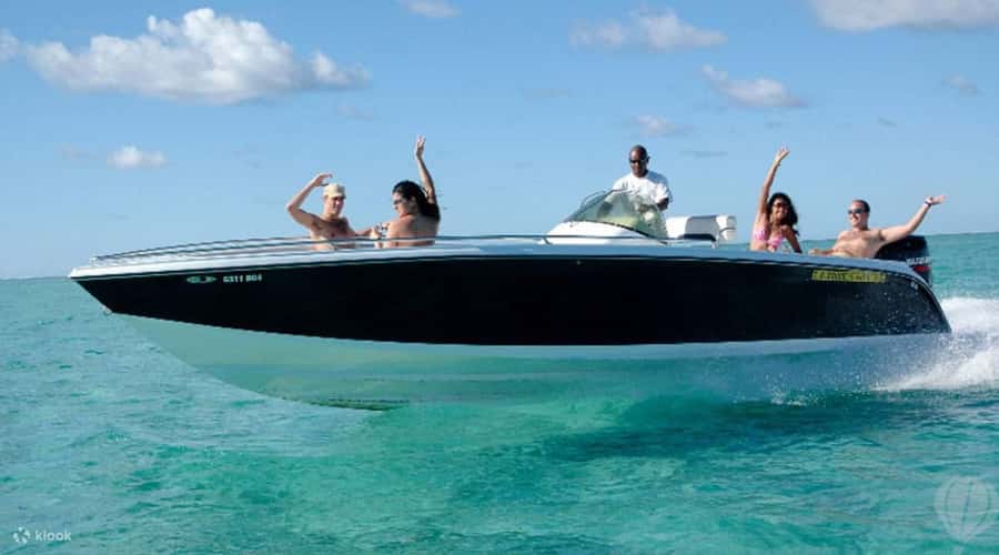 Speedboat to Ile aux Benitier: Dolphin Encounter & Lunch - Crystal Rock and Le Morne views: a photo stop with real payoff