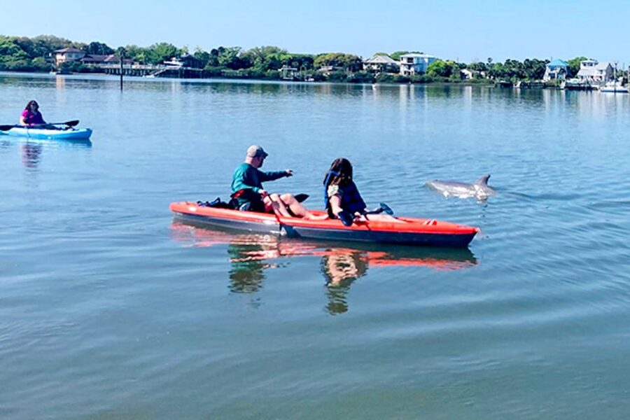 St. Augustine: Dolphin and Manatee Paddle or Kayak Tour - Meeting at Lighthouse Park: the easiest start in town